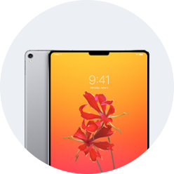 iPad